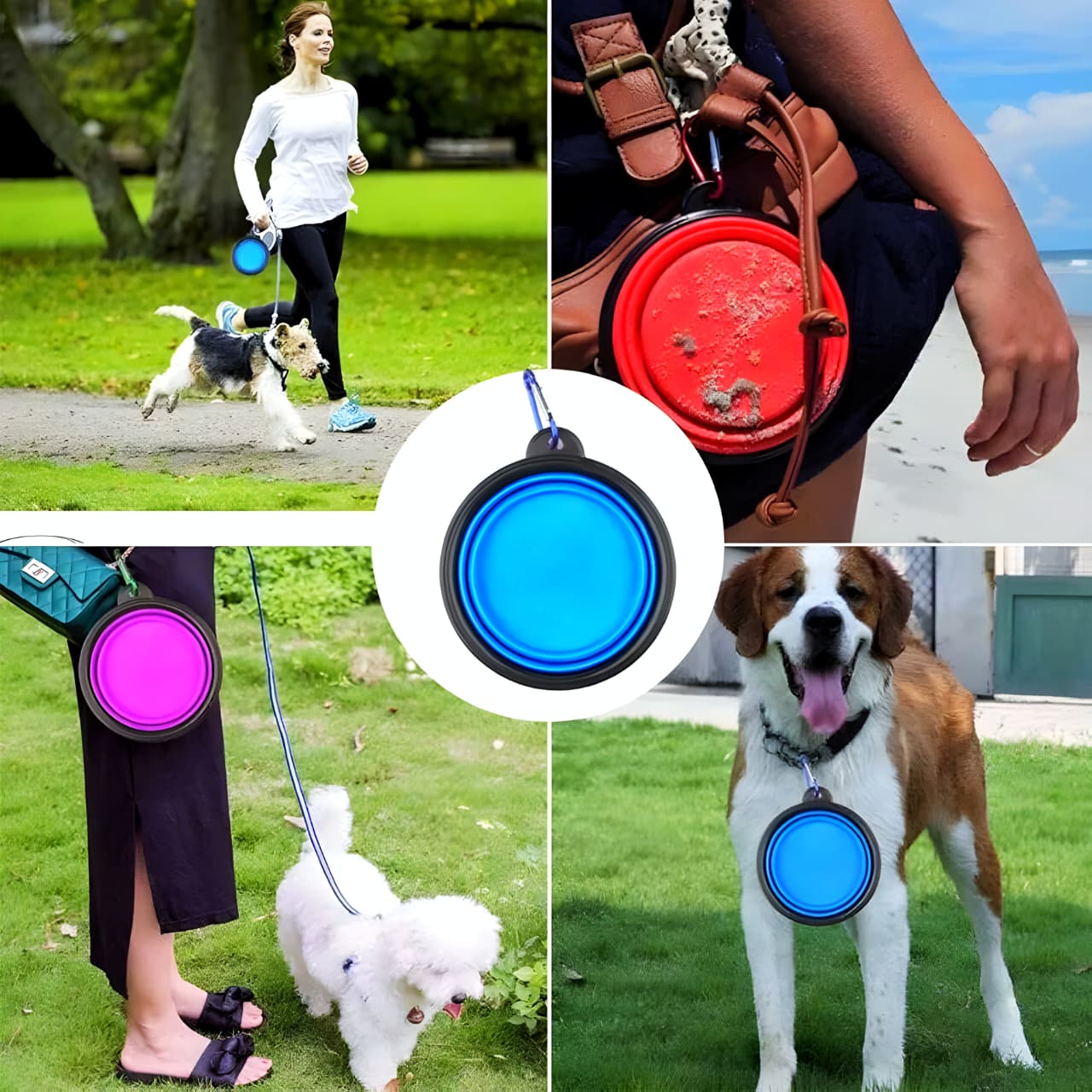 Premium Foldable Silicone Pet Feed Bowl