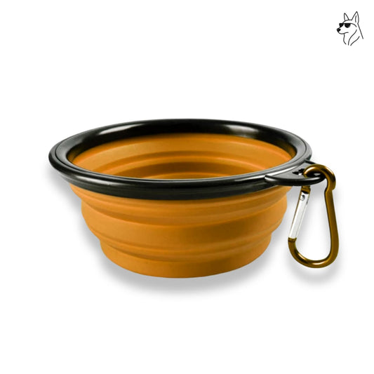 Premium Foldable Silicone Pet Feed Bowl